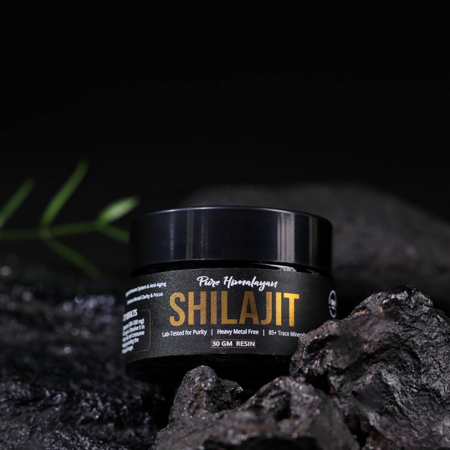 Earthly Vitality Pack - Special Bundle