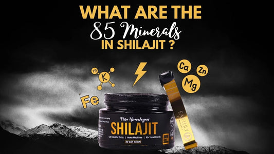 What Are the 85 Minerals in Shilajit?